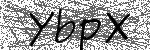 image code