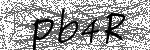 image code